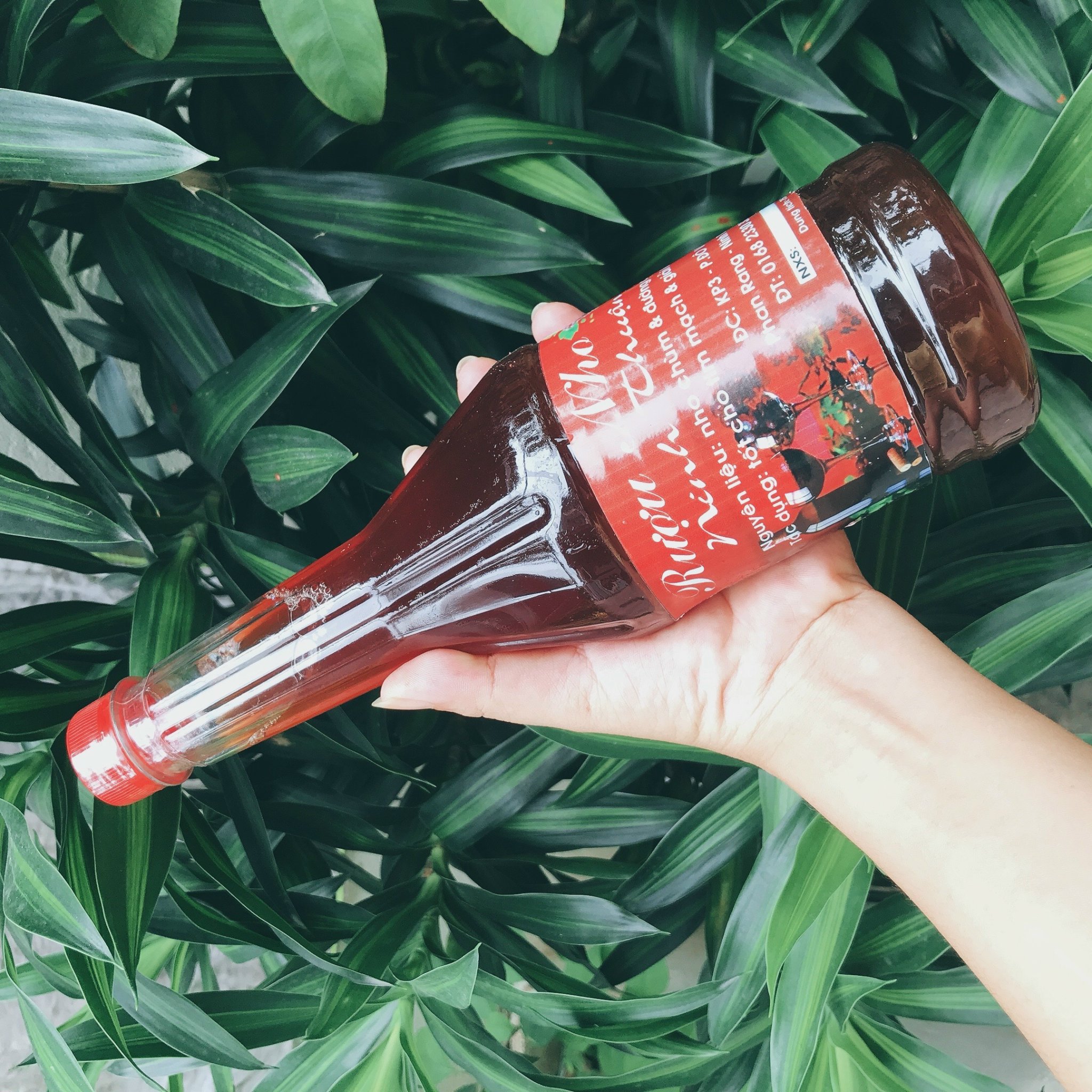 Nước ép nho lên men 750ml [ít đường]