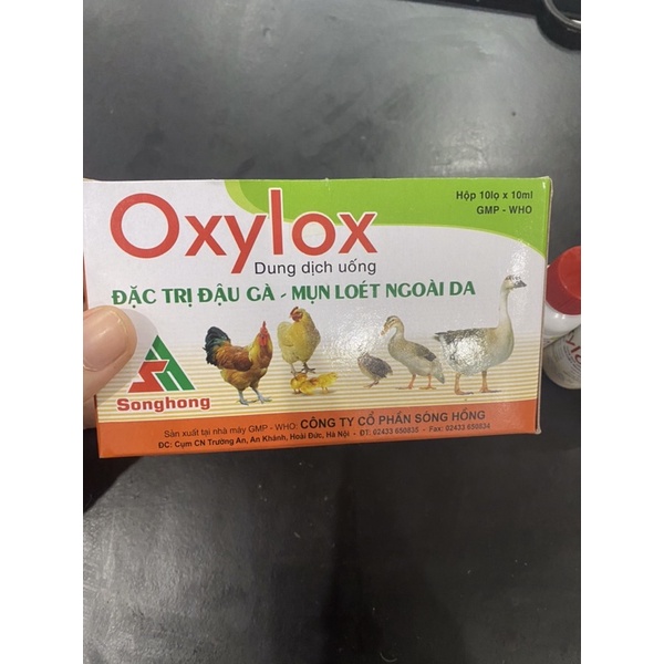 Oxylox Bệnh đậu gà, mụn loét ngoài da