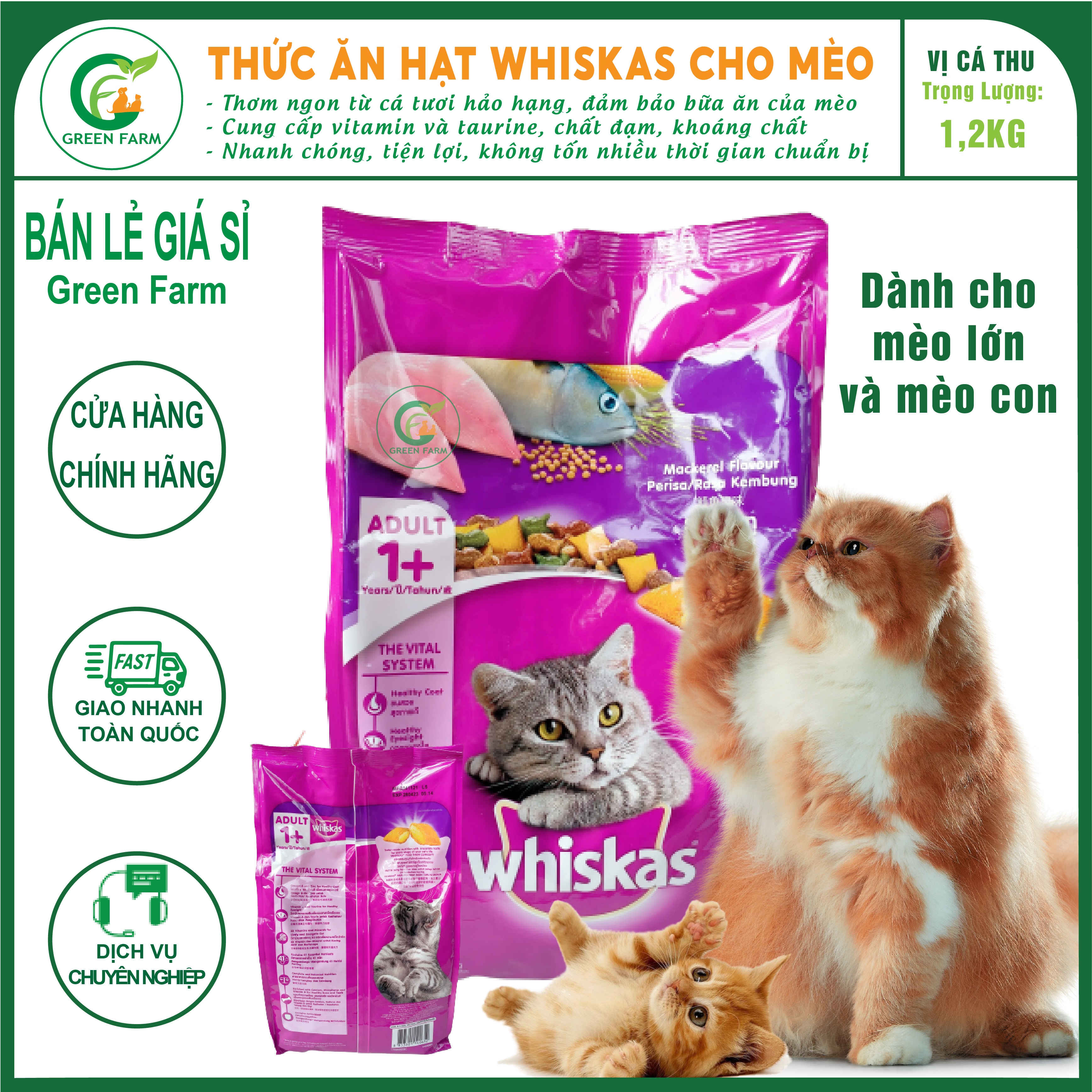 Thức Ăn Hạt Cho Mèo Lớn 1+ Whiskas Vị Cá Thu 1.2kg thumbnail