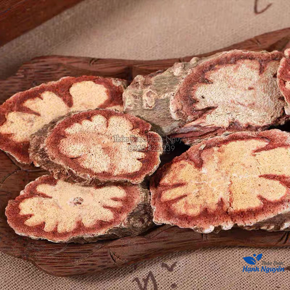 Cỏ kha cúc 100g (Thanh lọc cơ thể, bồi bổ sức khỏe) - Thảo Dược Hạnh Nguyên