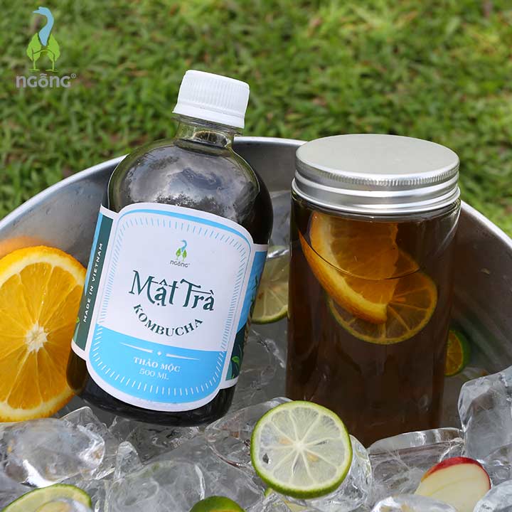Mật Trà KombuchaThảo Mộc 500ml