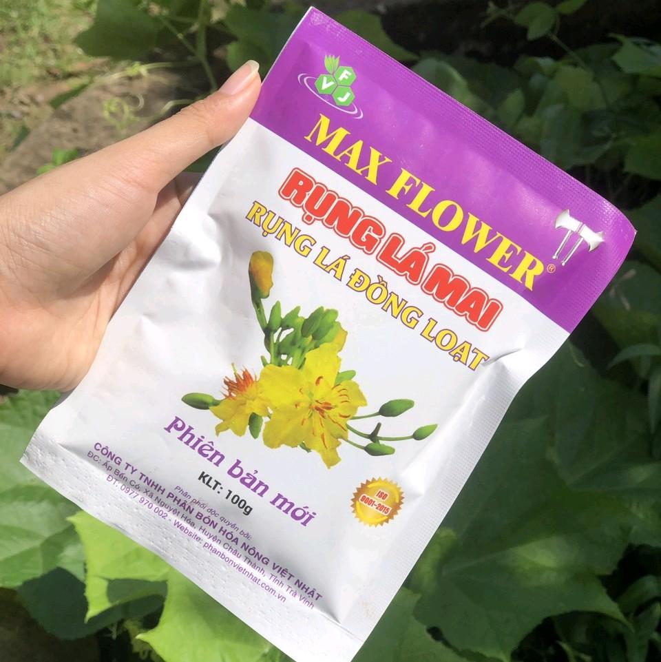 RỤNG LÁ MAI 100G