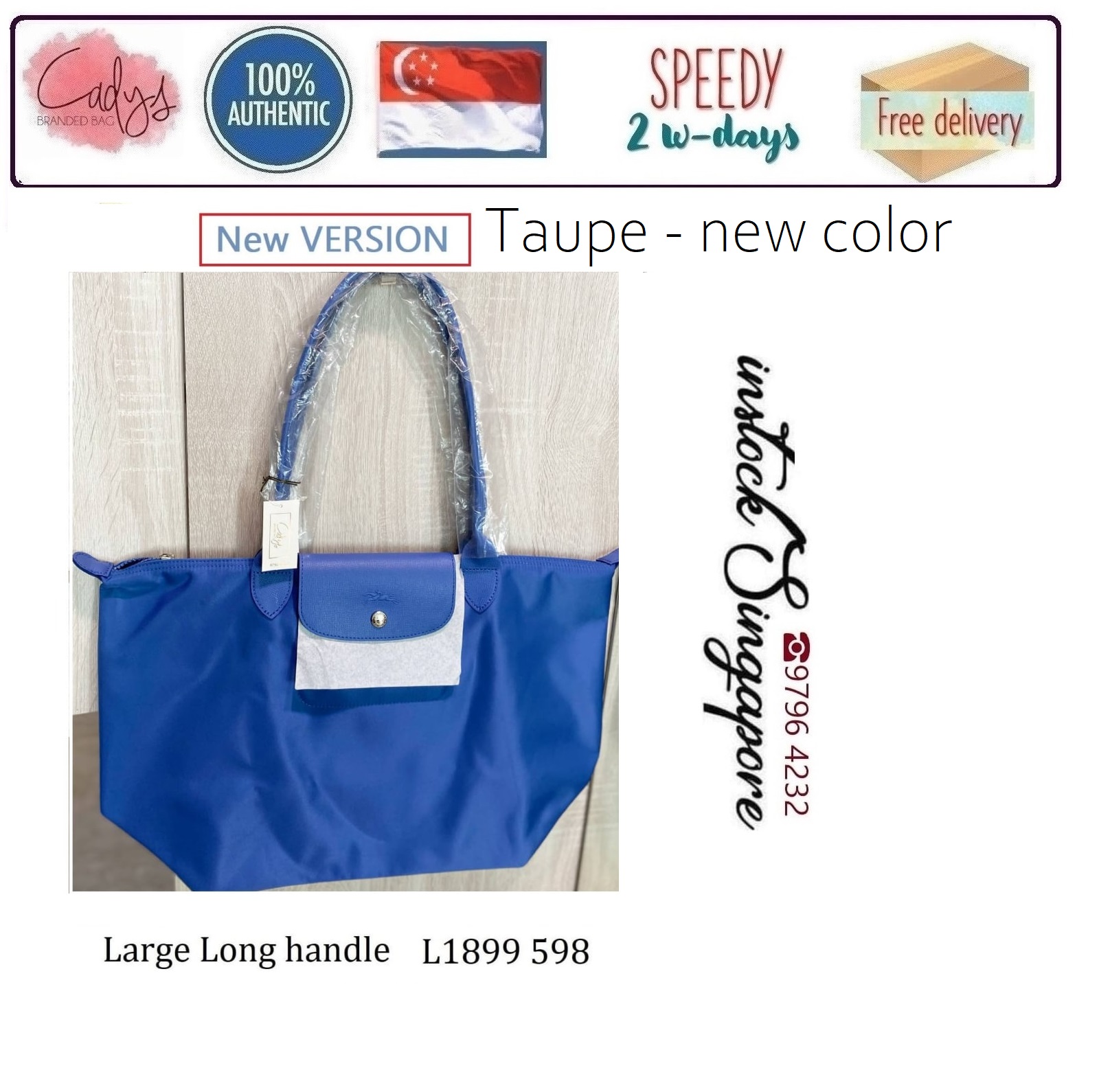 longchamp speedy