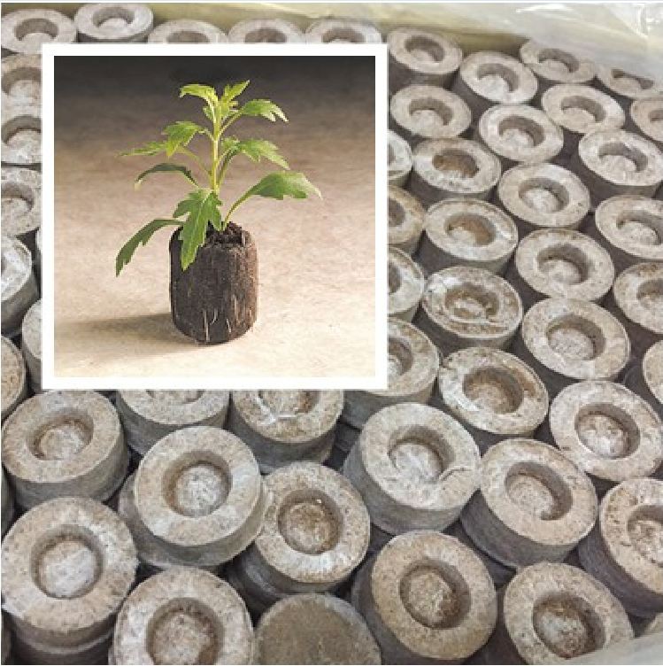 Viên nén sơ dừa ươm hạt giống - giâm cành - 20 viên