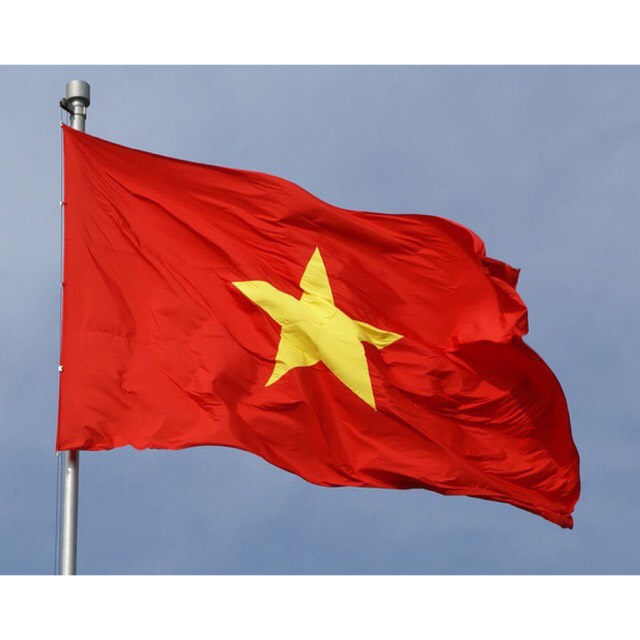 Combo 10 lá cờ tổ quốc trang trí  dịp lễ hội