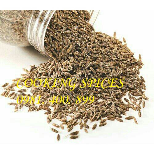 Hạt Thì Là Ấn Độ ( Cumin Whole )