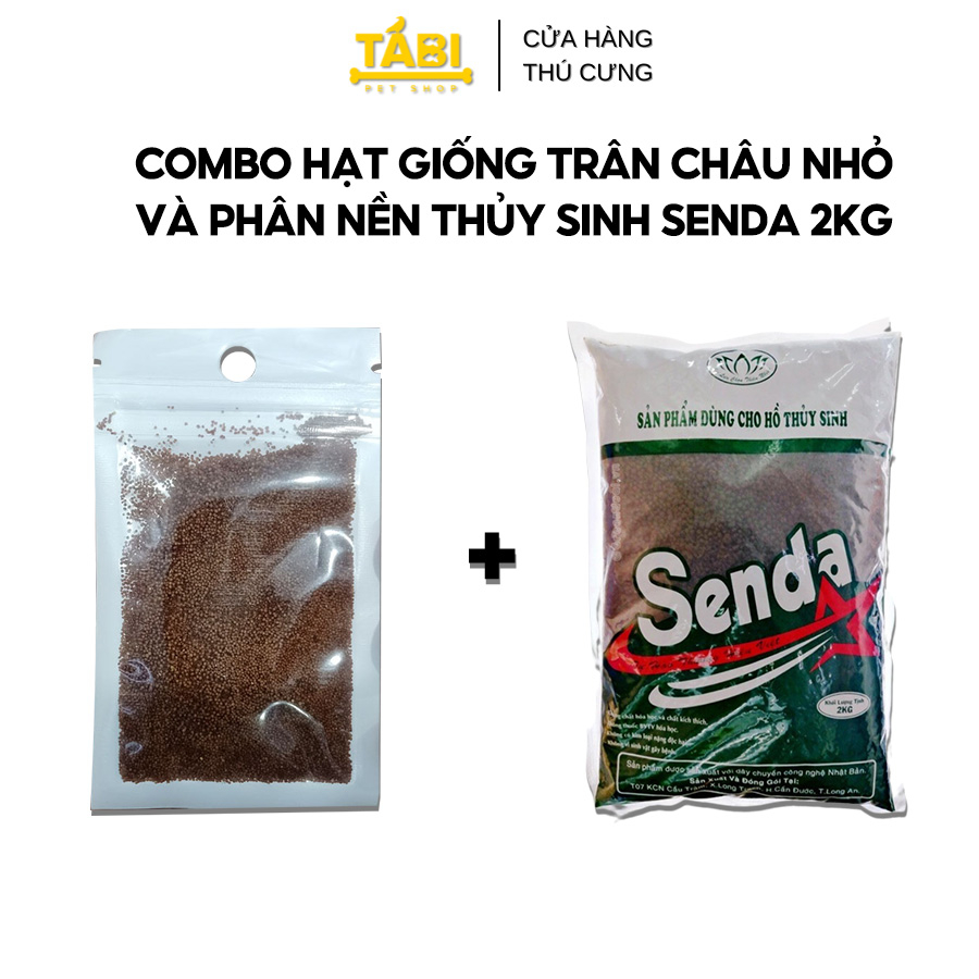 Combo hạt giống trân châu nhỏ và phân nền thủy sinh senda 2kg