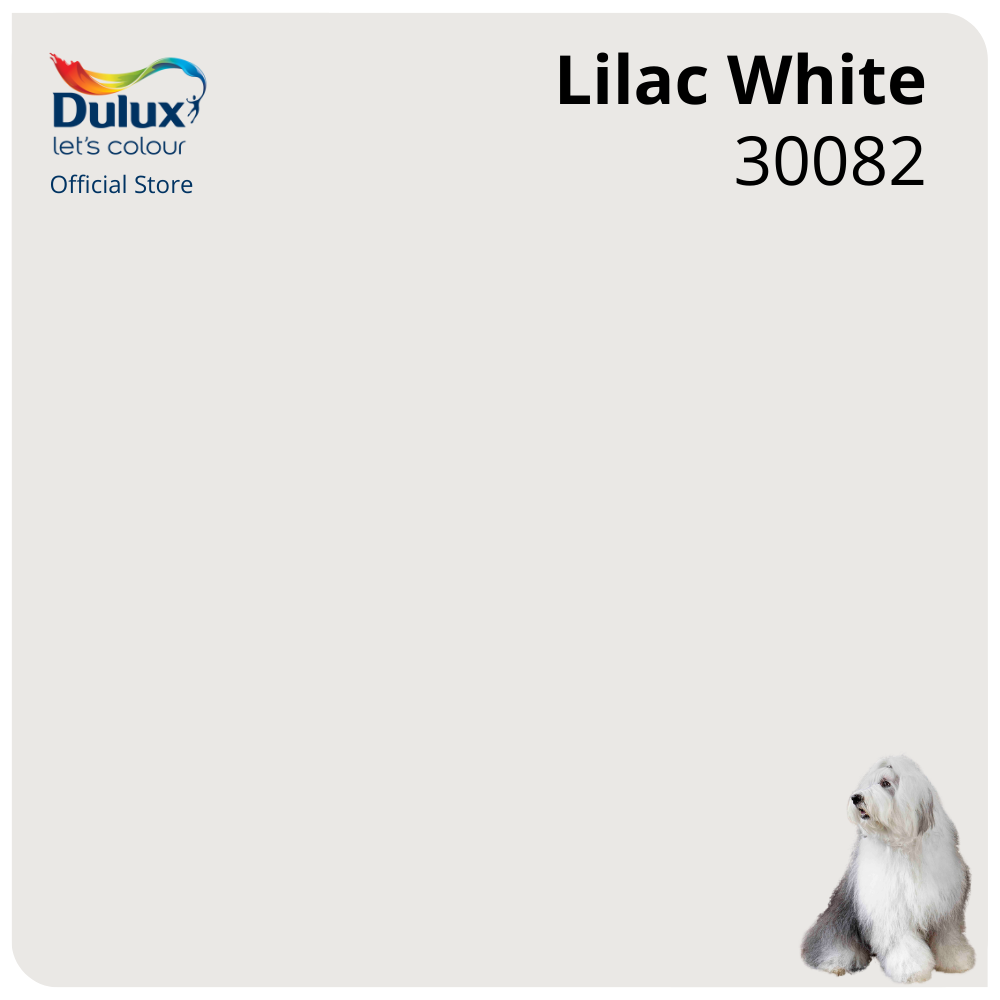 Dulux Interior Wall Paint Shades of White (AntiFungus / High