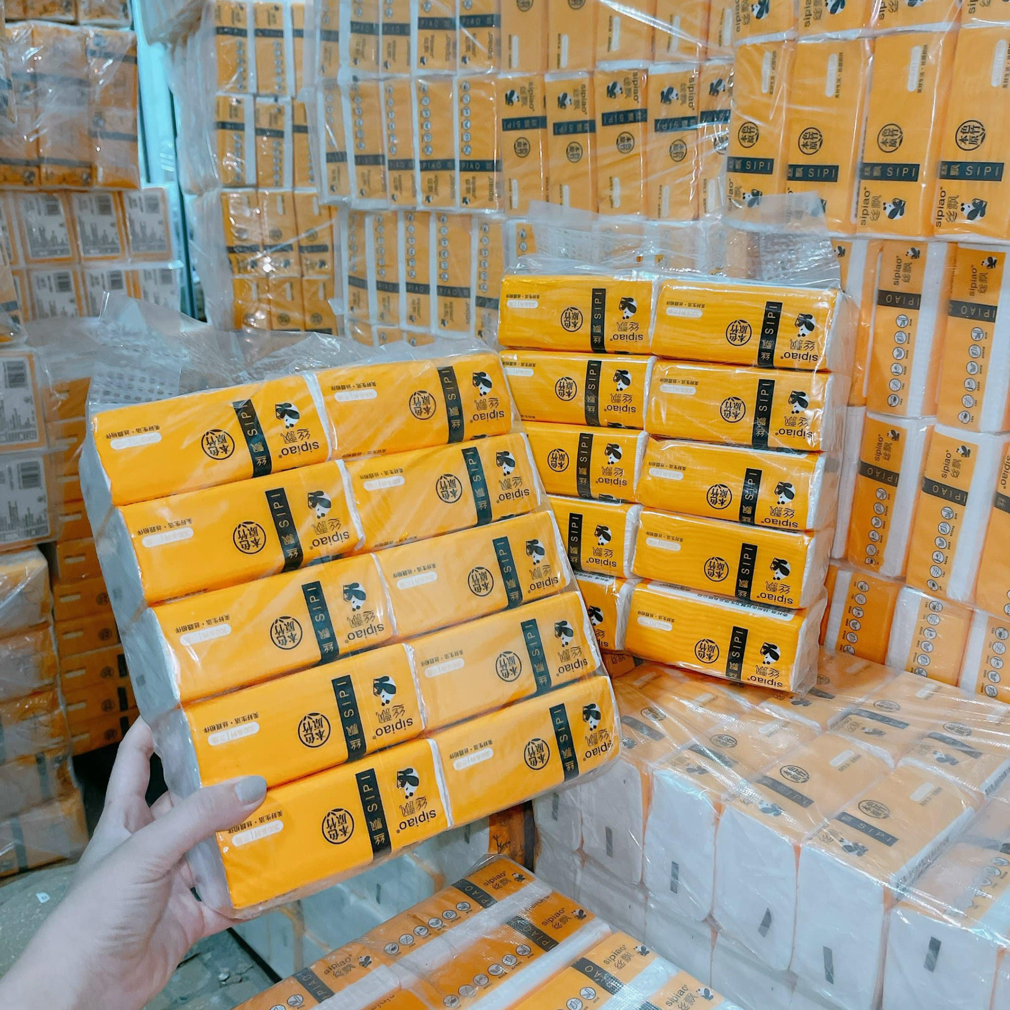 COMBO 10 BỊCH GIẤY GẤU TRÚC SIPIAO