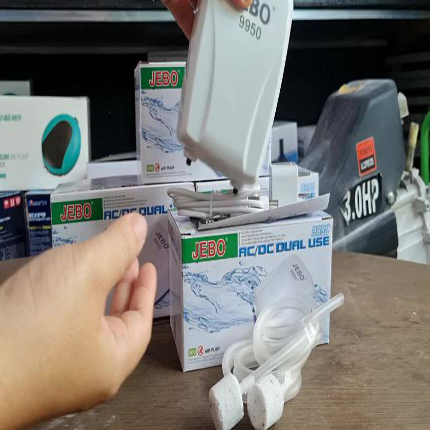 [ Tặng 1m dây và 2 cục sủi ] Máy sủi oxy tích điện Jebo 9950 2 vòi mini siêu êm