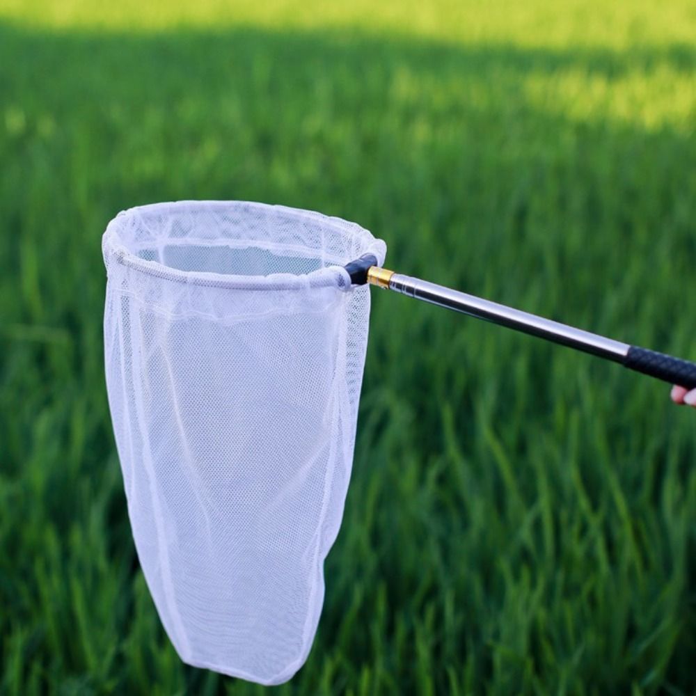 Easy To Carry Butterfly Net Flying Animals Capture Net Extendable Bee ...