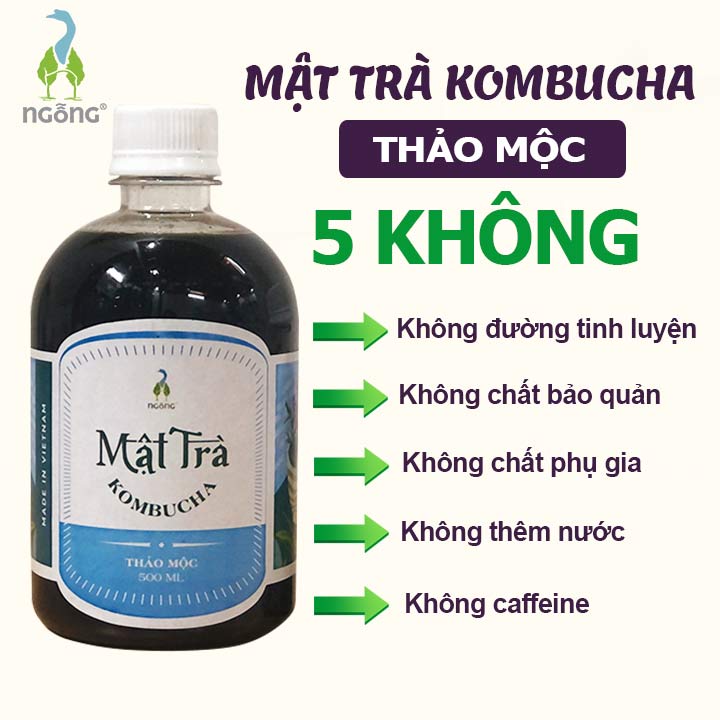 Mật Trà KombuchaThảo Mộc 500ml