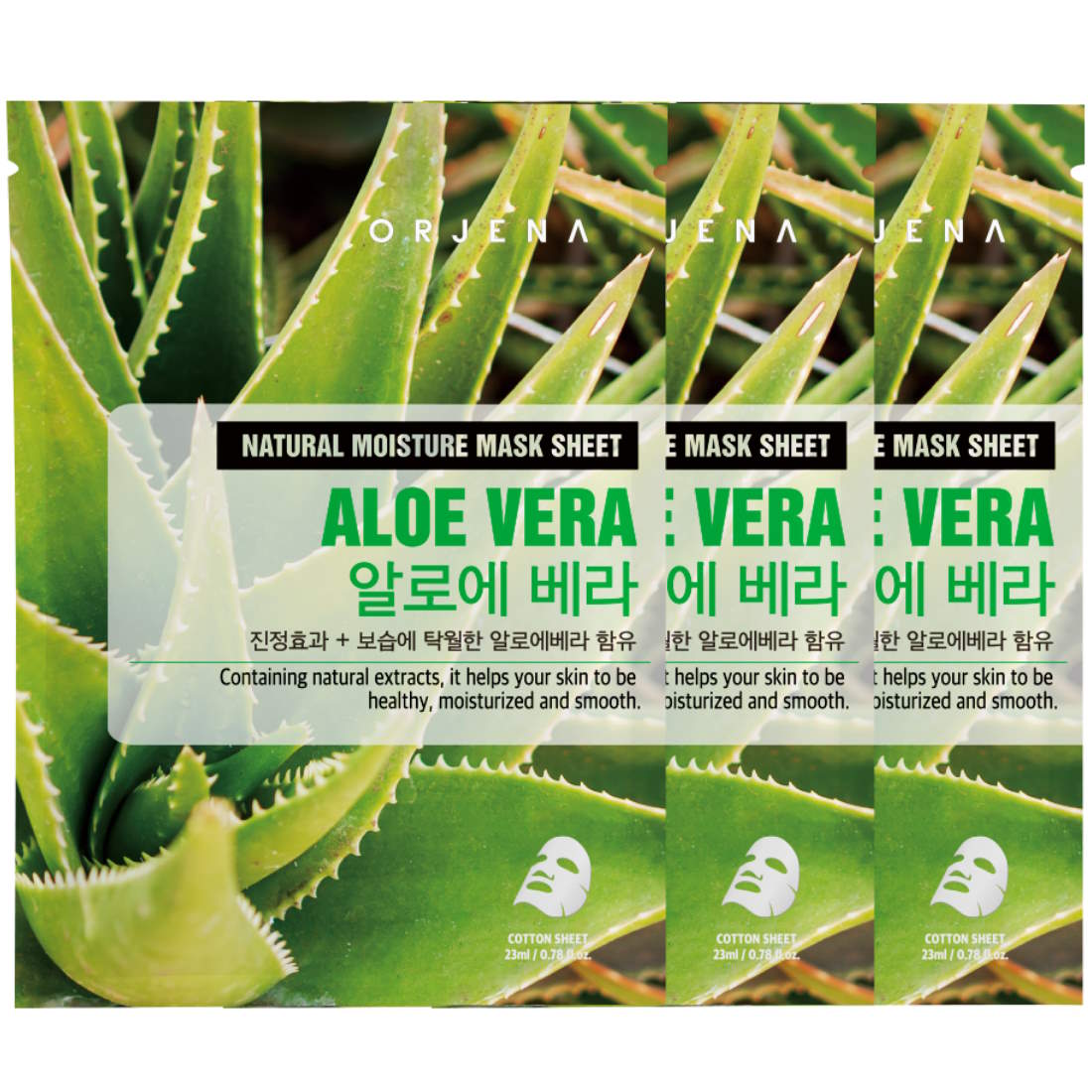 agaven kaktus Leuchtenbergia principis (Agaven-Kaktus)  PASIORA