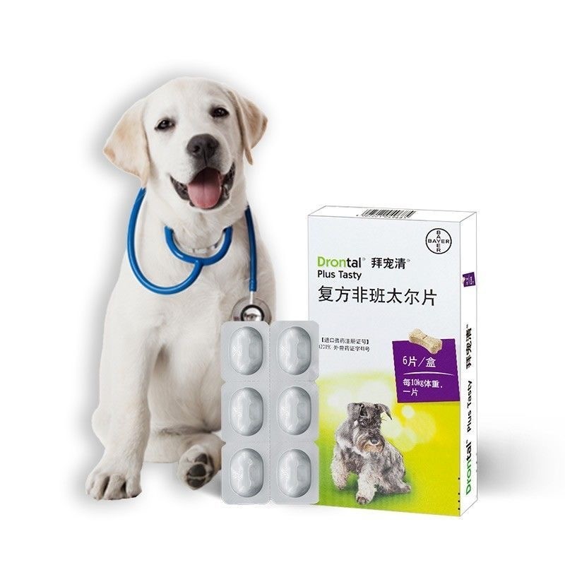 Drontal Plus for Dogs Cats 1 Tablet Tasty Dewormer Tablets Bayer pet ...