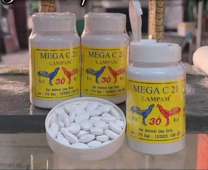 Mega C21 Kích Lực trước đá 7-10 ngày cho Gà Đá