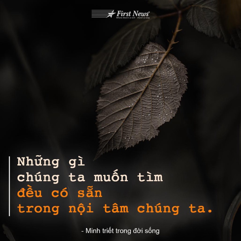 Minh Triết Trong Đời Sống ( FN )