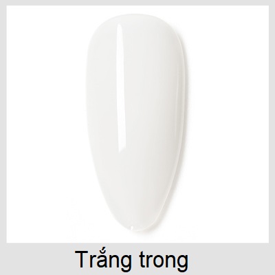 Sơn gel as red | màu trắng đen cơ bản