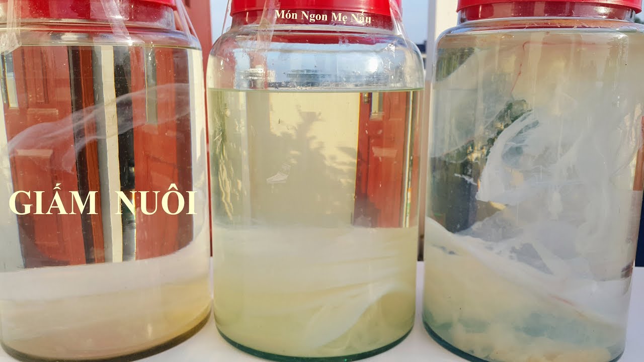 {500ml} - Giấm Nuôi Tự Nhiên - (Không có kèm con giấm).