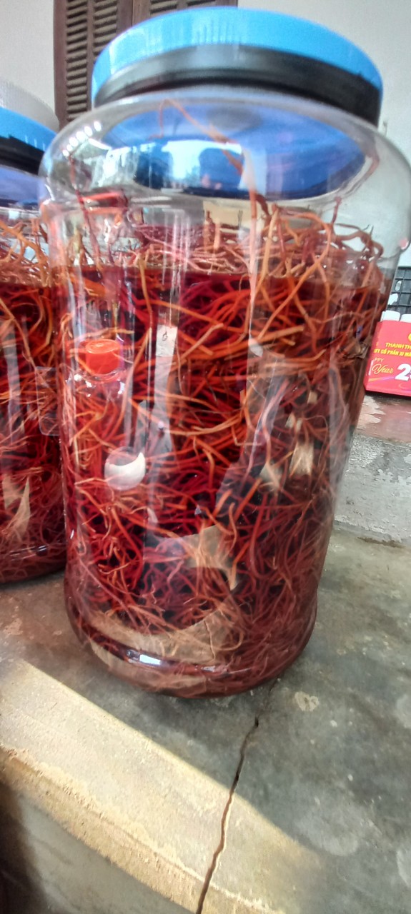 Rễ Bạch Hạc Trị Mốc ( Chai 500ml)