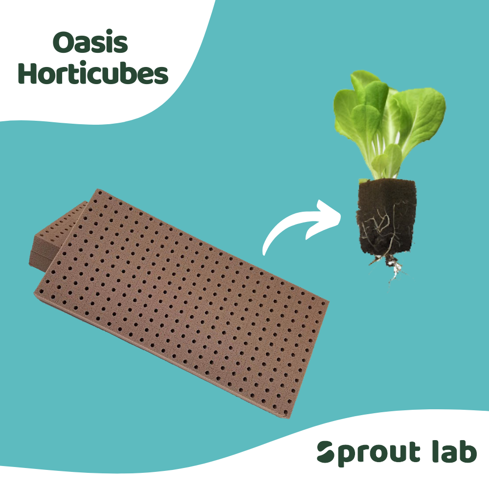 Sprout lab | OASIS Horticubes Biodegradable Seedling Starters - Carton  5520pcs | Lazada Singapore
