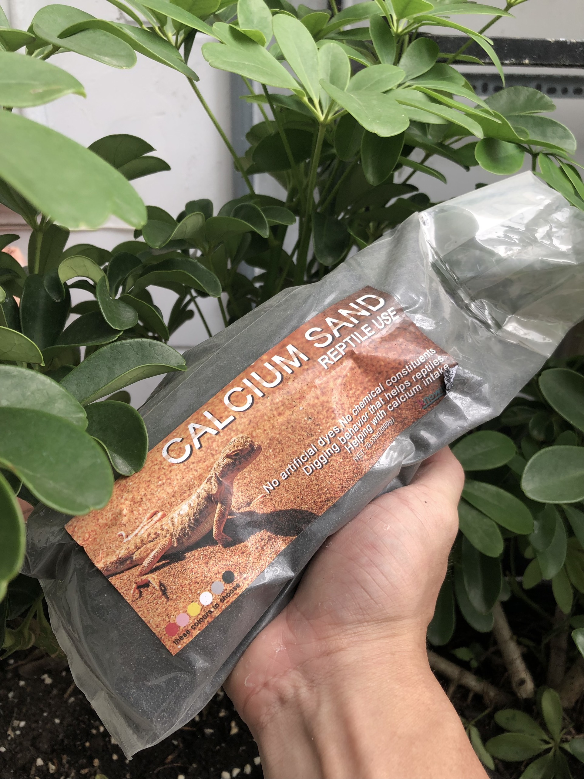 Cát sa mạc dành cho bò sát túi 2kg