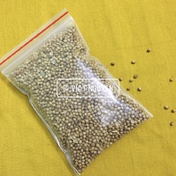 hạt mùi khô ( hạt ngò ) gia vị 300g