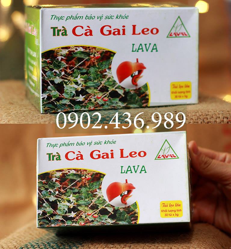 TRÀ CÀ GAI LEO