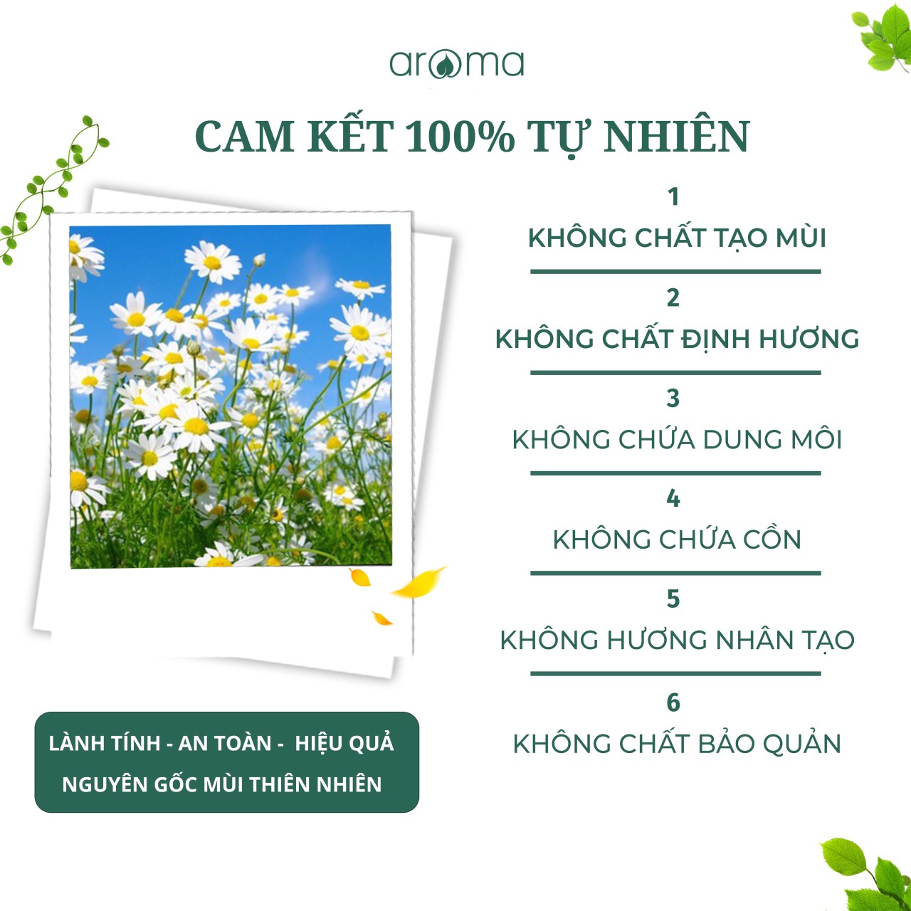 Tinh Dầu Aroma Sả Gừng Cold - 10ml/15ml/30ml/50ml