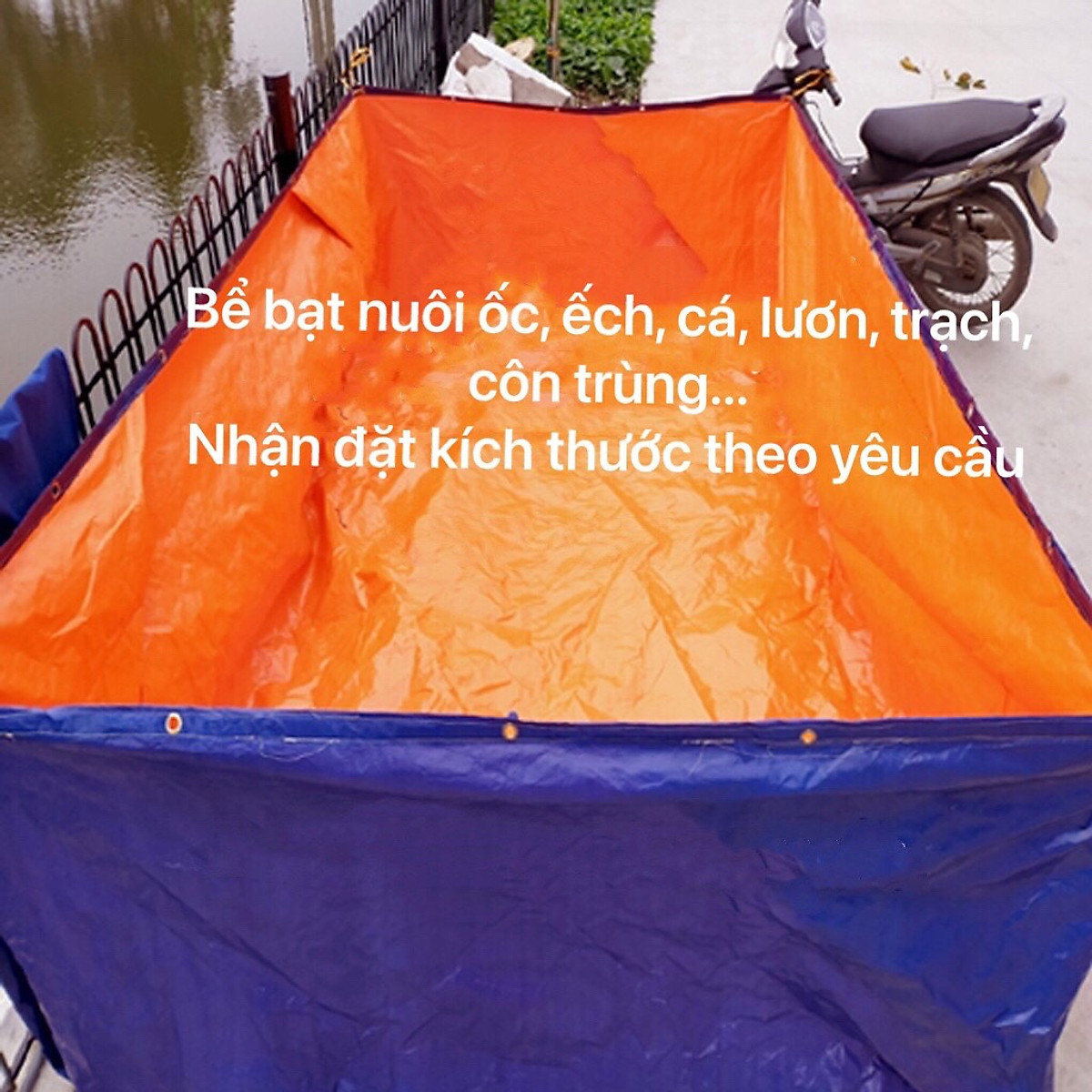 Bể bạt nuôi cá, ốc, ếch , lươn đủ kích thước