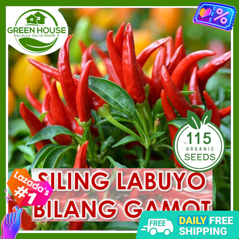 [Green House] Siling Labuyo Seeds for Planting Vegetable Plants (115