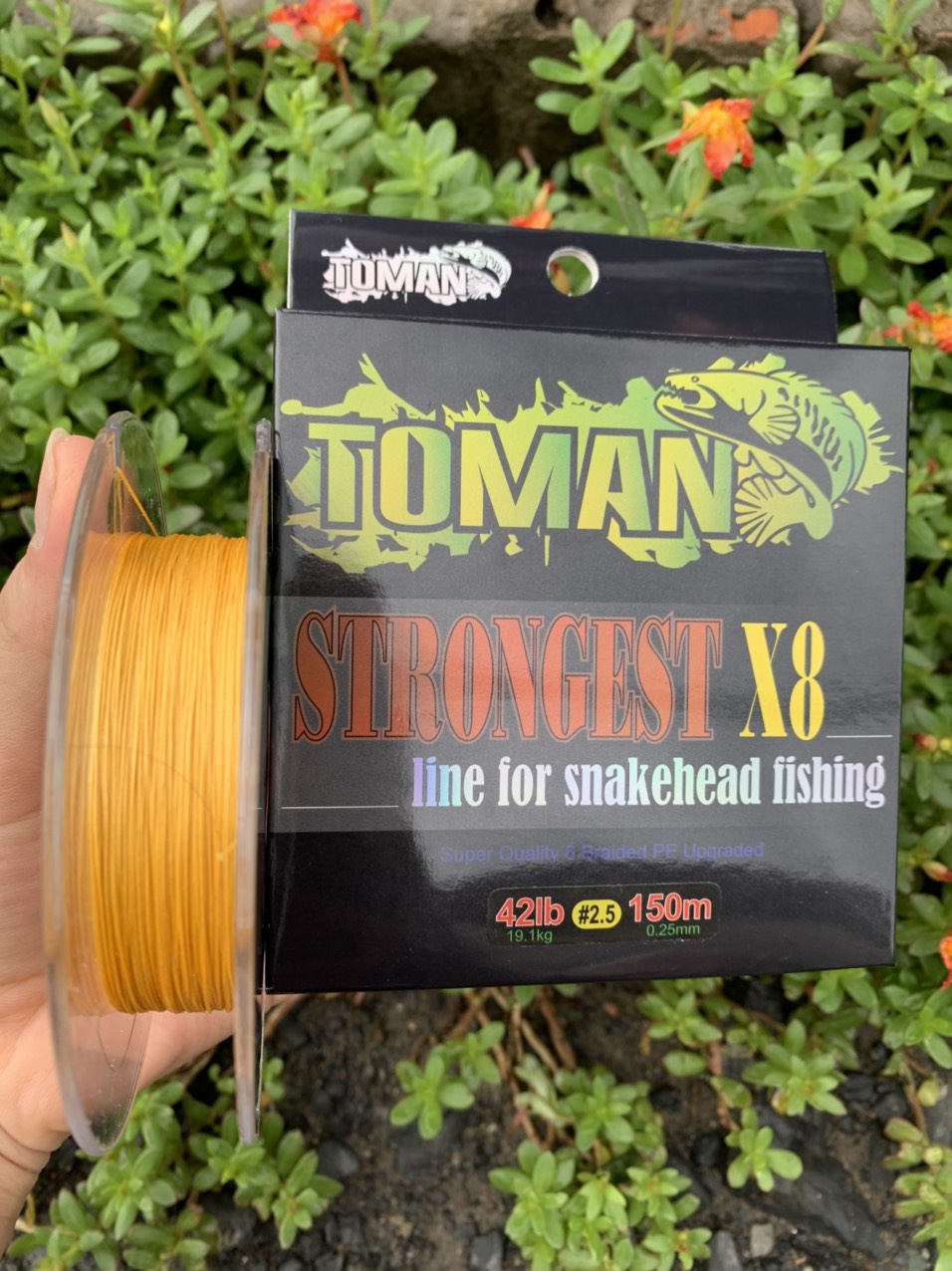 DÂY PE TOMAN STRONGEST X8- DÂY DÙ CÂU LURE