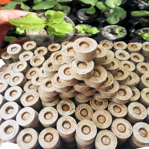 Set 10 viên nén xơ dừa ươm hạt giống