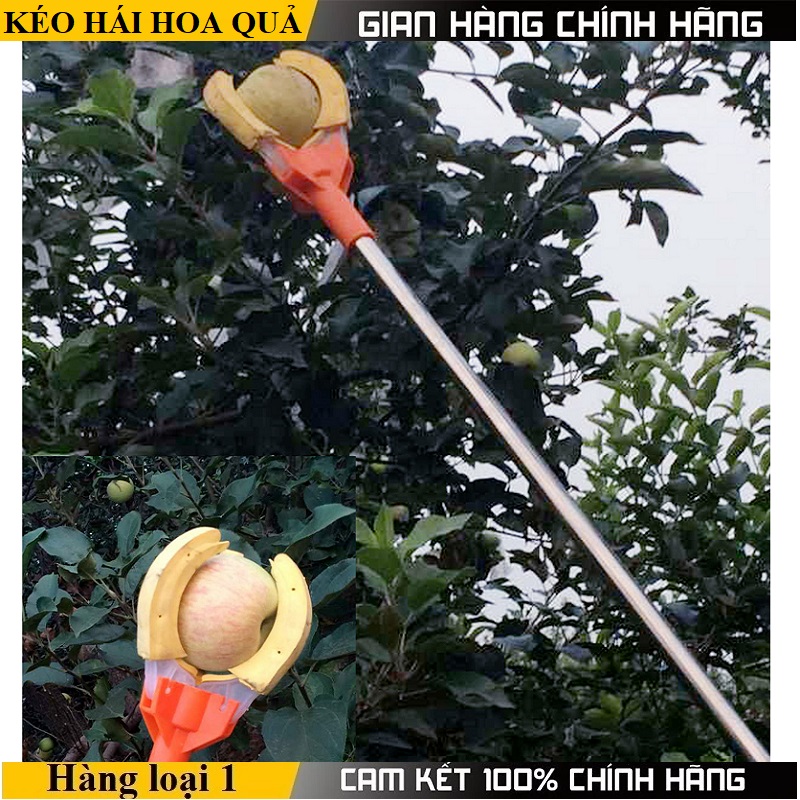 Kéo hái hoa quả trên cao