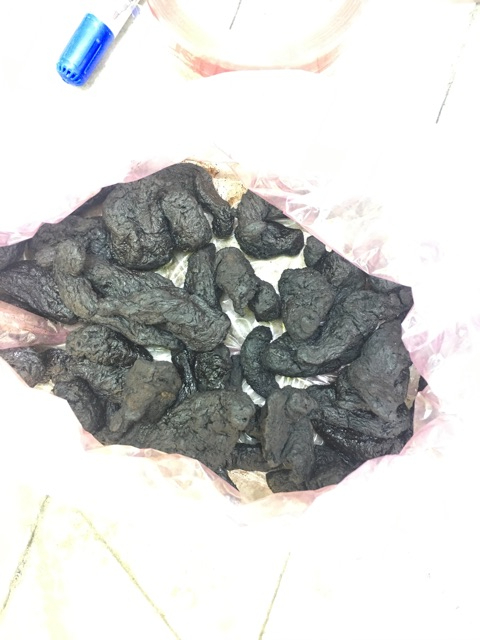 thục địa khô 500gram