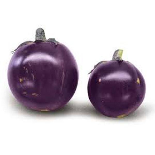 Hạt Giống Cà Bát Tím - H2T FARM