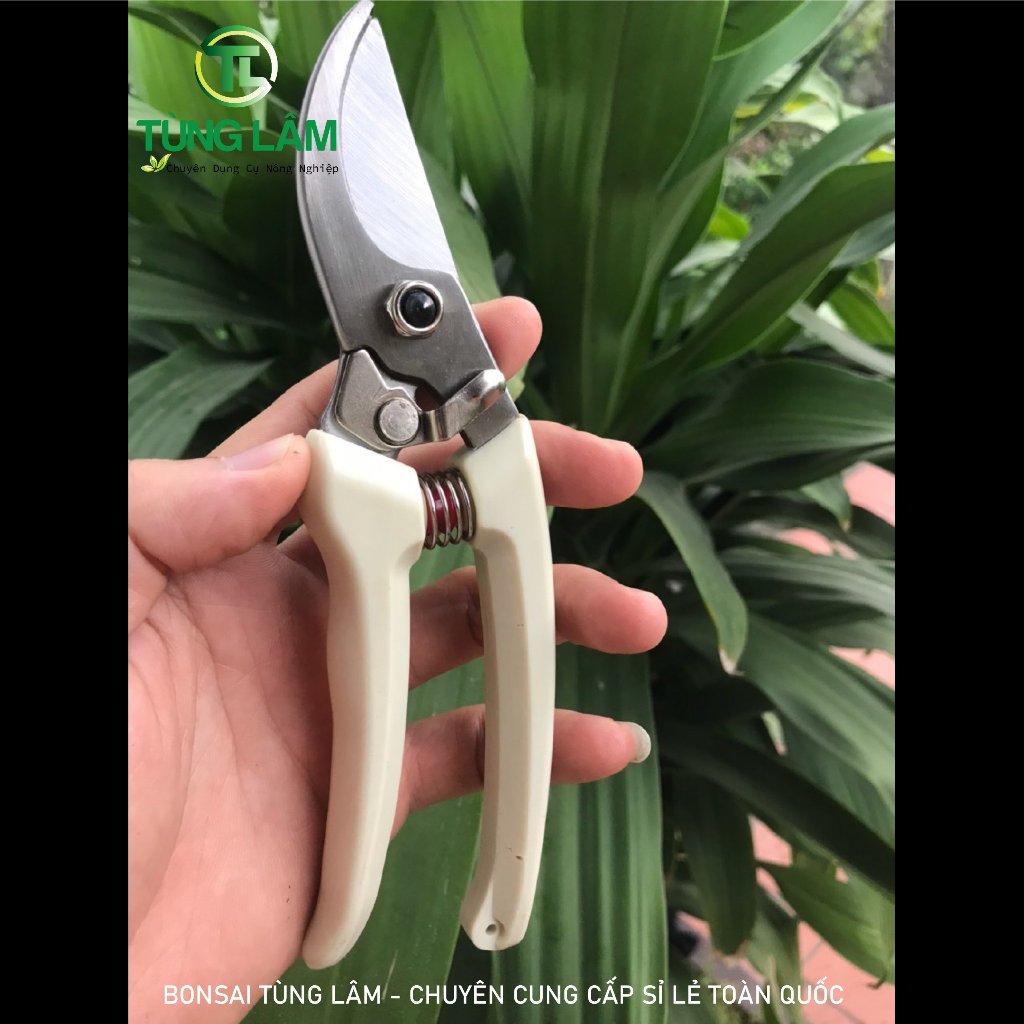 [FREESHIP] Combo 3 Món Dụng Cụ Làm Vườn Cây Cảnh Bonsai (Kéo Cắt Cành  Tay Nhựa , Kéo Cắt Cành Tay Nỉ Và Kéo Cắt Cành Tay Đỏ )