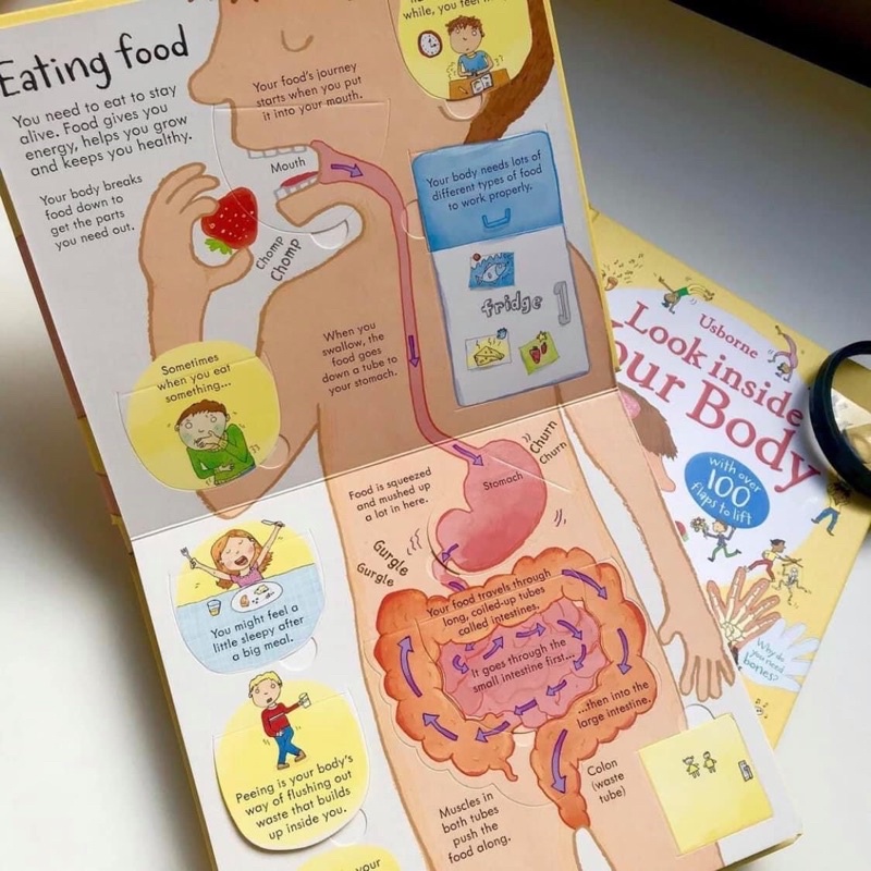 Usborne Look Inside nhập khẩu Mới 100% - Đồ chơi tương tác lật mở