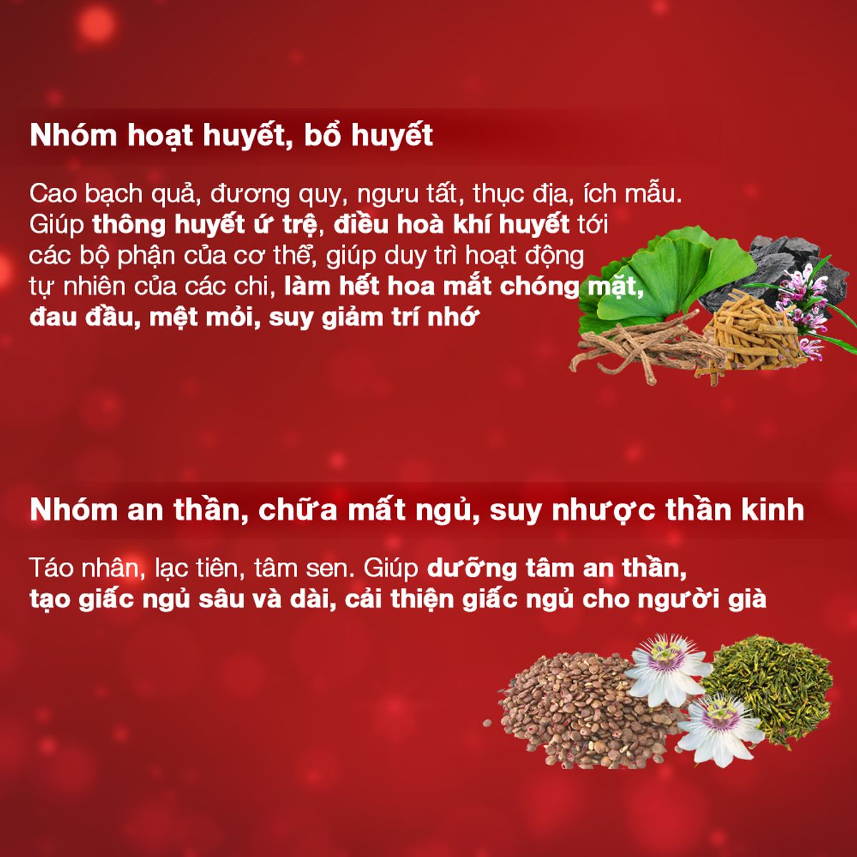 Hoạt huyết minh não khang - Dân Khang