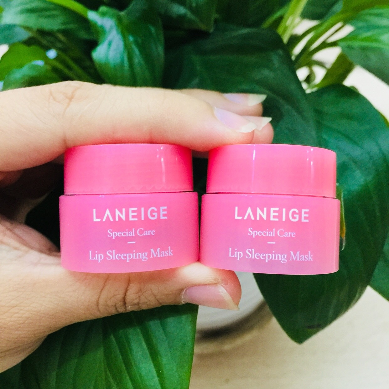 Dưỡng môi Ủ môi lanneige Hàn Quốc size mini