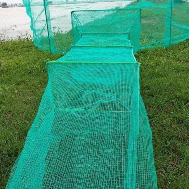 Dớn Bắt Cá, Ốc, Lươn