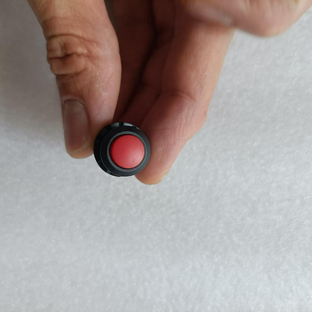 Công tắc 12mm, Nút nhấn giữ trạng thái