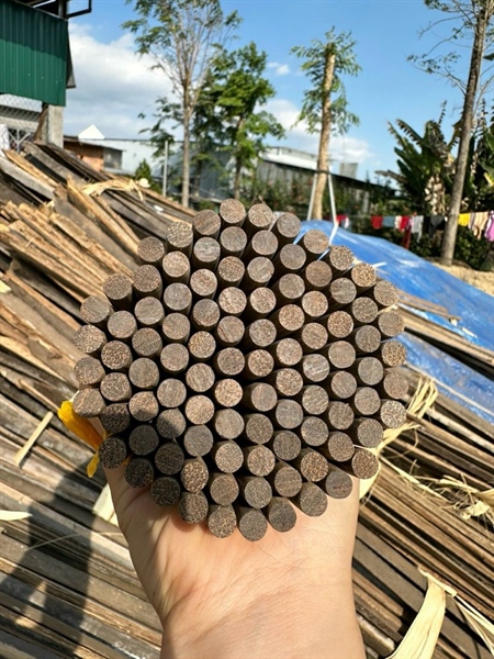 ĐŨA Buông Bình Thuận - Hàng loại 1