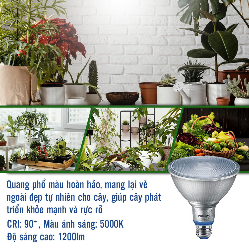 Đèn chiếu cây PHILIPS Grow Lamp 16W Par38 E27 950 50D