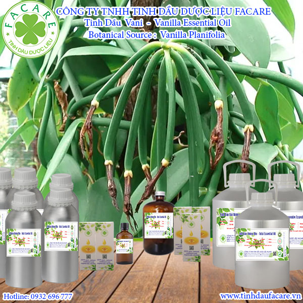 Tinh dầu vani Vanilla essential oil - 10ml