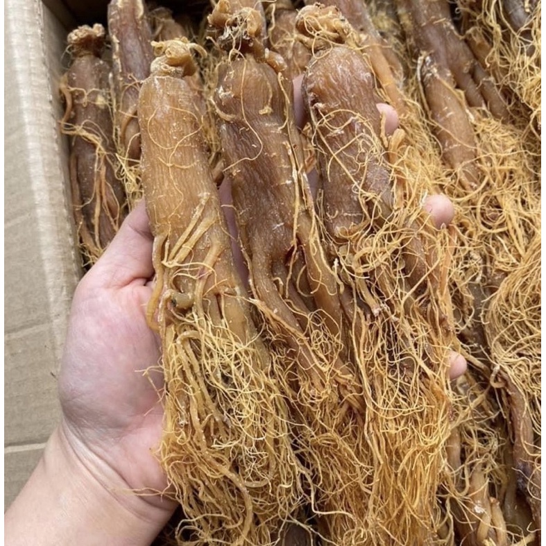 [CHÍNH HÃNG] HỒNG SÂM SẤY DẺO ( Thơm Chuẩm )