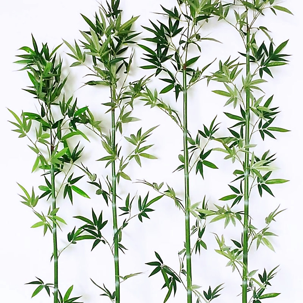 Artificial Bamboo Tree 120cm and 150cm 1Piece for Home Display Events