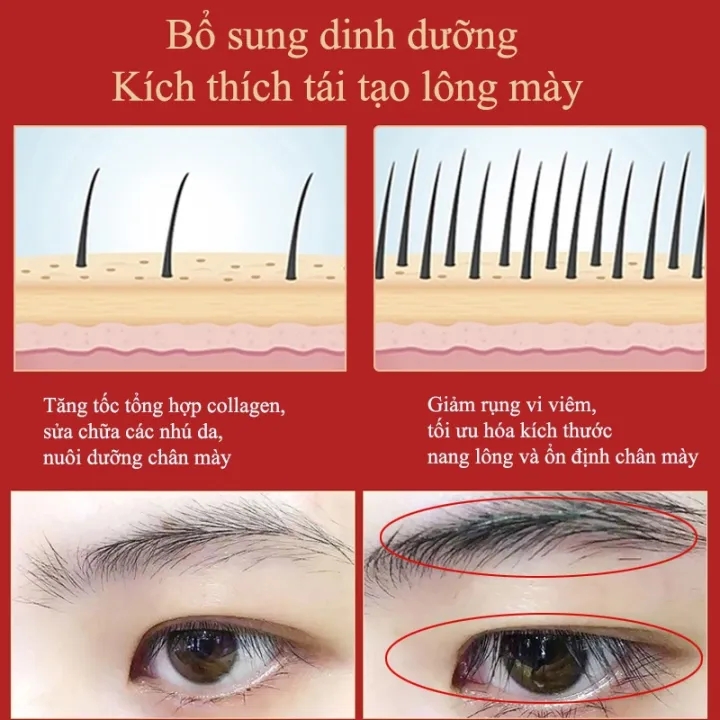 SERUM KÍCH MỌC LÔNG MÀY DÀI DÀY/3ml