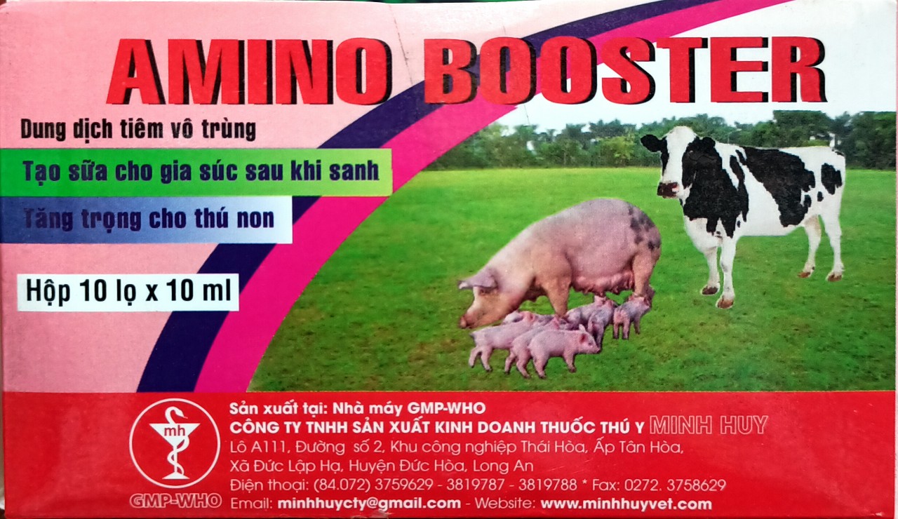 AMINO BOOSTER lọ 10ml/lọ Thuoc kích sữa tiêm, tạo sữa gia súc sau khi sinh, tăng trọng cho thú non. Tạo sữa cho gia súc sau khi sinh. Kích sữa Gia Súc