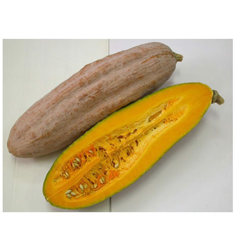 Hạt giống Bí Đỏ Dài ( Bí Sáp) Phú Nông - 10g