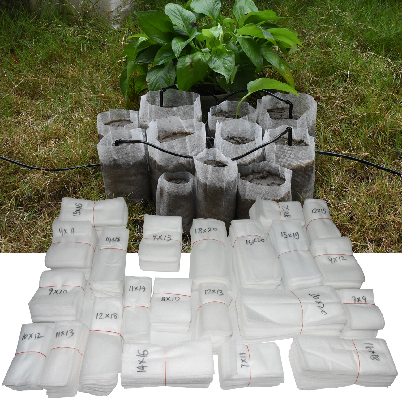 50-100pcs%20Plants%20Seedling%20Grow%20Bags%20Mushroom%20Flower%20Biodegradable%20Non-Woven%20Nursery%20Fabric%20Pots%20Eco-Friendly%20Aeration%20Greenhouse%20-%20Image%206
